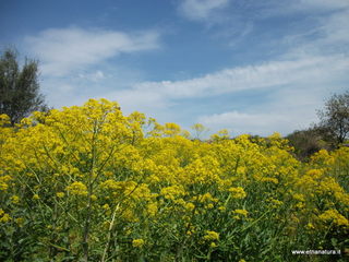 zzena-30-03-2013 13-11-09